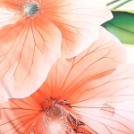 Pościel satyna bawełniana 160x200 Camellia w kremowym kolorze z pomarańczowymi kwiatami. Zbliżenie na detali kwiatów z wyraźnymi żyłkami i kroplami wody, na białym tle, podkreślającym ich delikatność i szczegóły.