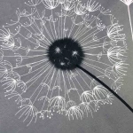 Pościel bawełniana 160x200 Dandelion szara w białe i czarne dmuchawce, Cottonlove